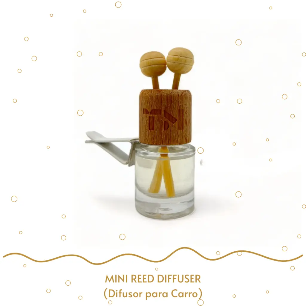 Mini Reed Diffuser carro de lado.webp