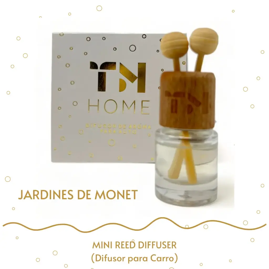 Mini Reed Diffuser para el carro