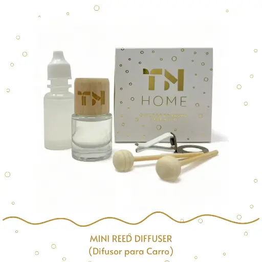 Mini Reed Diffuser para el carro